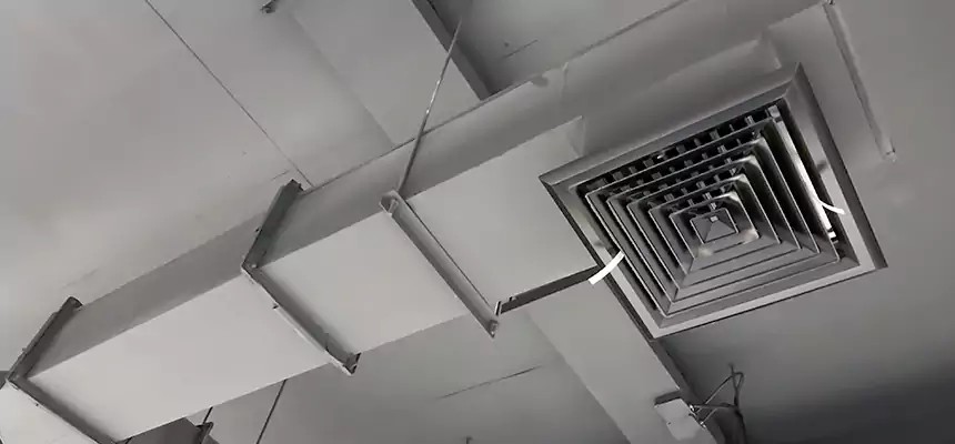 Our Rodent Droppings In Vents Services in Papillion, NE