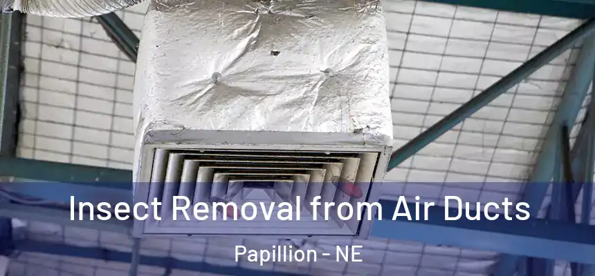  Insect Removal from Air Ducts Papillion - NE
