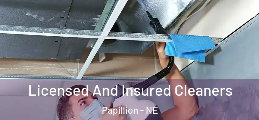  Licensed And Insured Cleaners Papillion - NE
