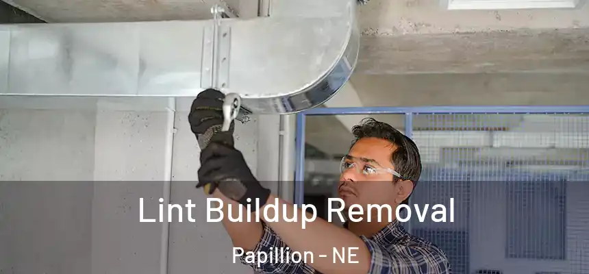  Lint Buildup Removal Papillion - NE