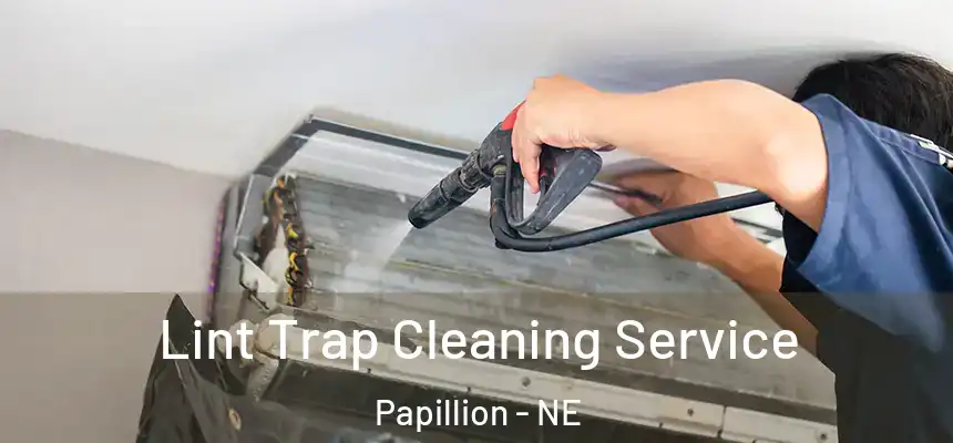  Lint Trap Cleaning Service Papillion - NE