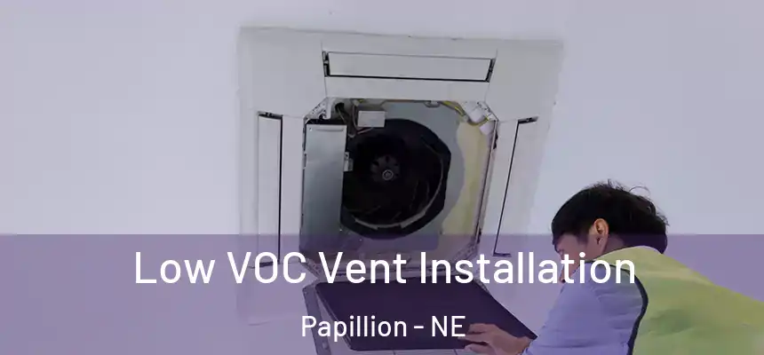  Low VOC Vent Installation Papillion - NE