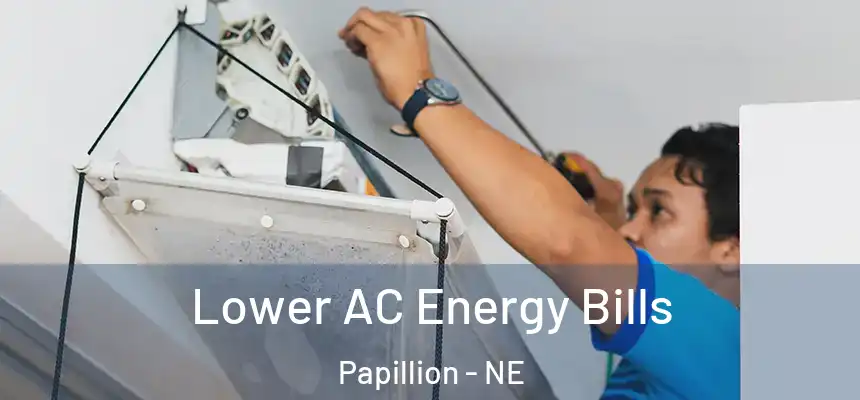  Lower AC Energy Bills Papillion - NE