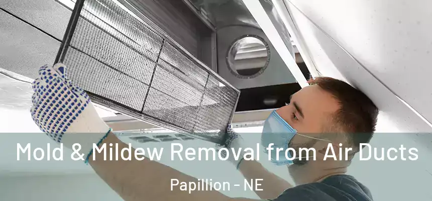  Mold & Mildew Removal from Air Ducts Papillion - NE