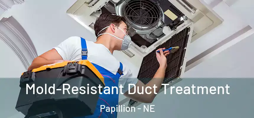  Mold-Resistant Duct Treatment Papillion - NE