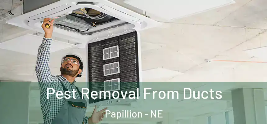  Pest Removal From Ducts Papillion - NE