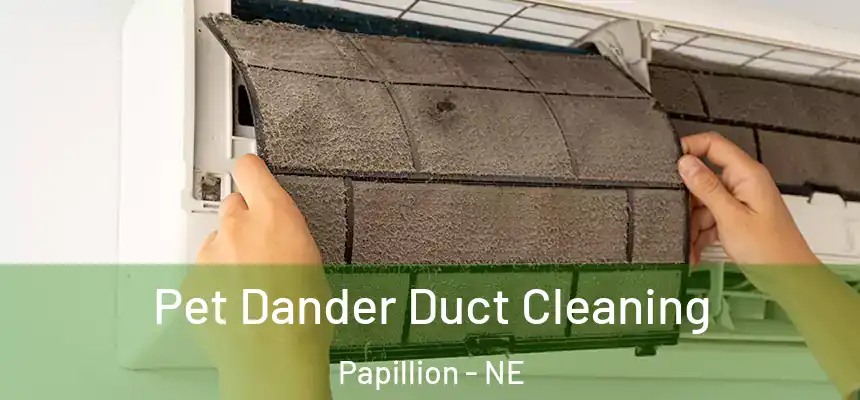  Pet Dander Duct Cleaning Papillion - NE