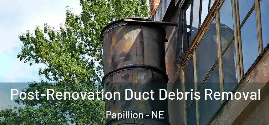  Post-Renovation Duct Debris Removal Papillion - NE