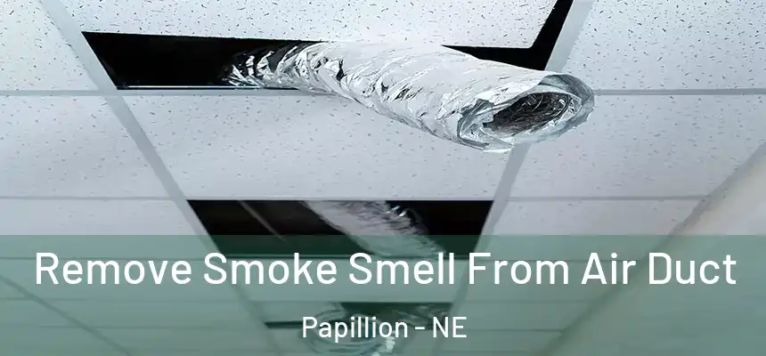  Remove Smoke Smell From Air Duct Papillion - NE