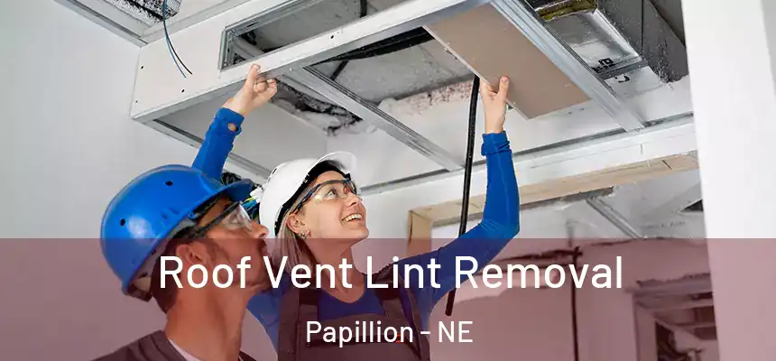  Roof Vent Lint Removal Papillion - NE