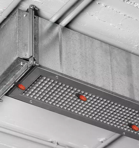 About Air Duct Cockroach Removal in Papillion, NE
