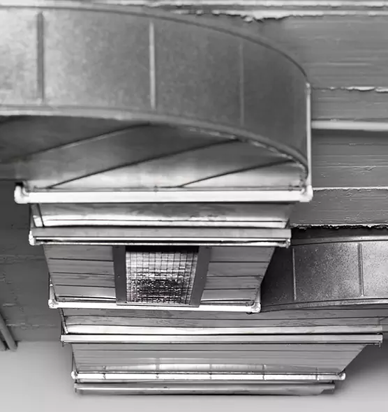 Professional Air Duct Pest Removal in Papillion, NE