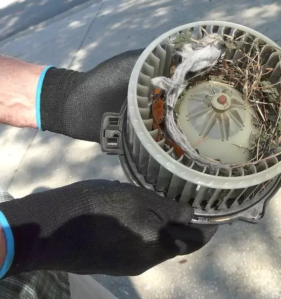 About Air Duct Rat Removal in Papillion, NE