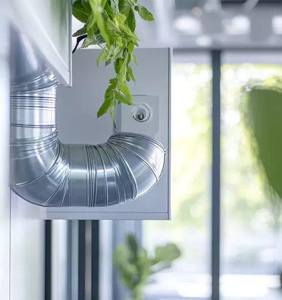 Professional Eco-Safe Dryer Vent Cleaning in Papillion, NE