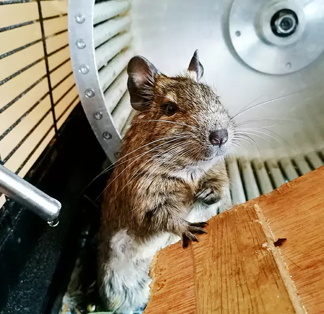 Why Homeowners & Businesses Trust Us Papillion, NE