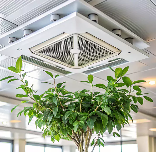 Why Homeowners & Businesses Trust Us in Papillion, NE