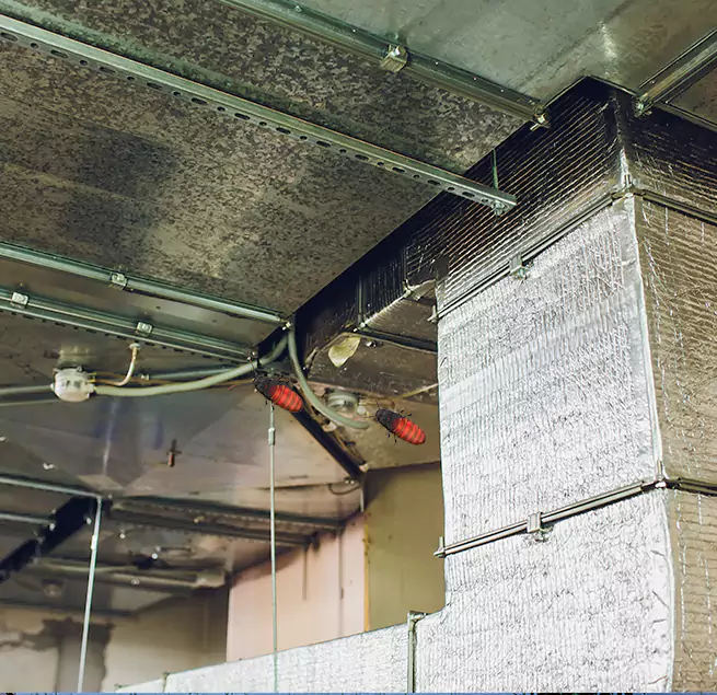 Why Homeowners & Businesses Trust Us Papillion, NE?