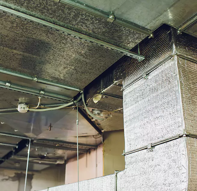 Why Homeowners & Businesses Trust Us in Papillion, NE?