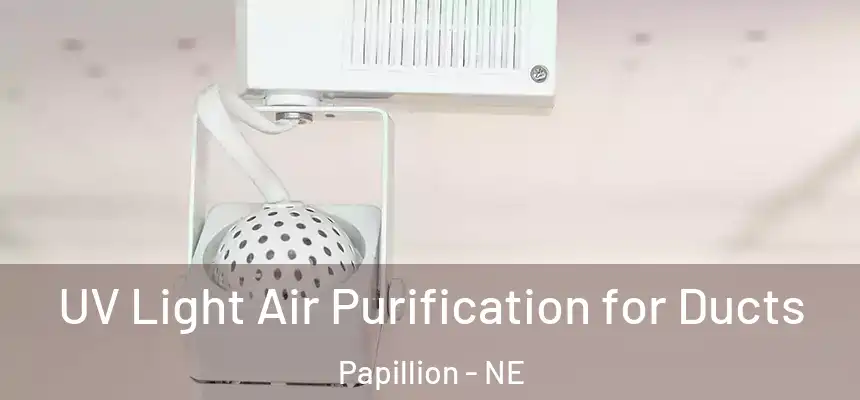  UV Light Air Purification for Ducts Papillion - NE