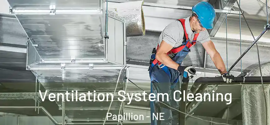  Ventilation System Cleaning Papillion - NE