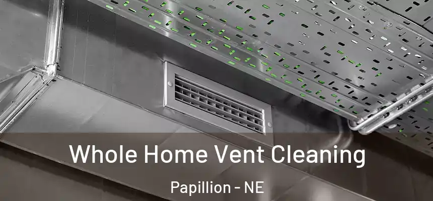 Whole Home Vent Cleaning Papillion - NE