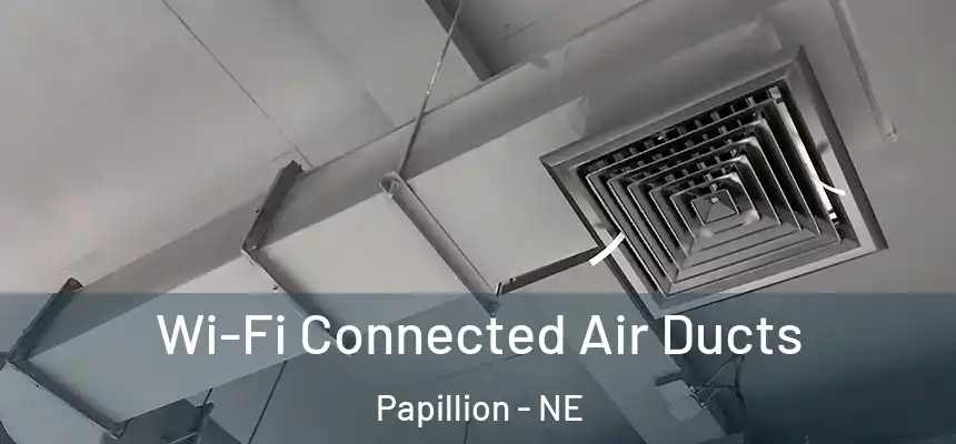  Wi-Fi Connected Air Ducts Papillion - NE